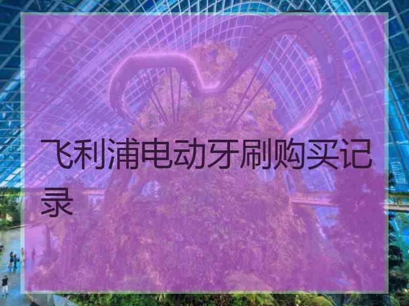 飞利浦电动牙刷购买记录