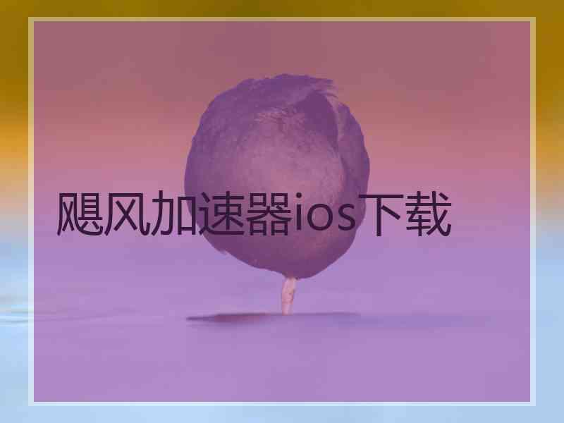 飓风加速器ios下载