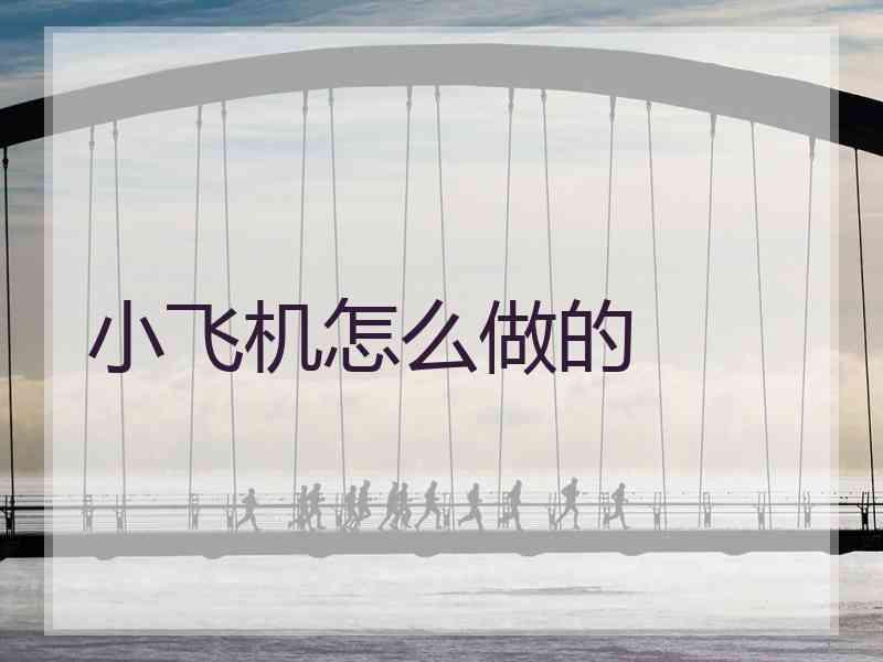 小飞机怎么做的