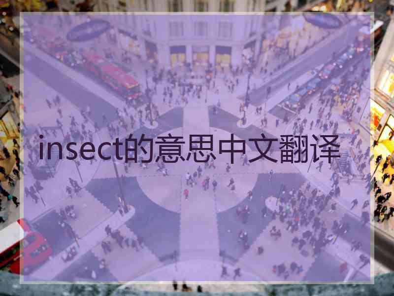 insect的意思中文翻译