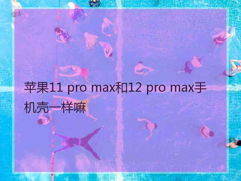 苹果11 pro max和12 pro max手机壳一样嘛