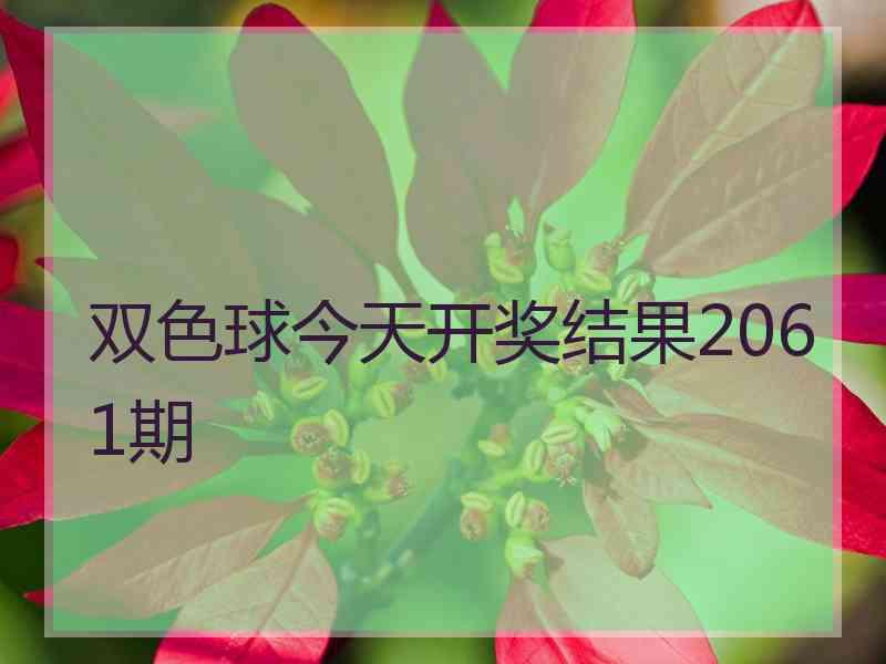 双色球今天开奖结果2061期