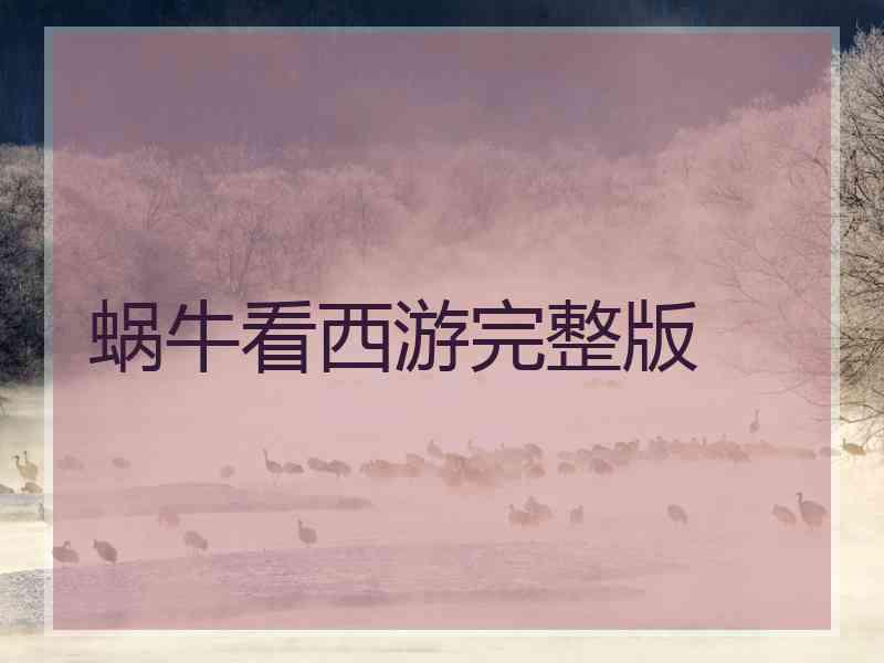 蜗牛看西游完整版