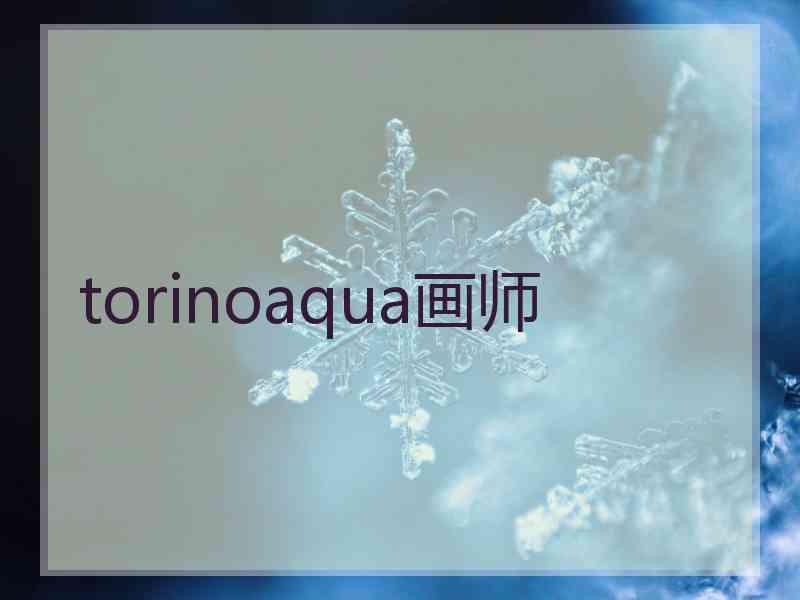 torinoaqua画师