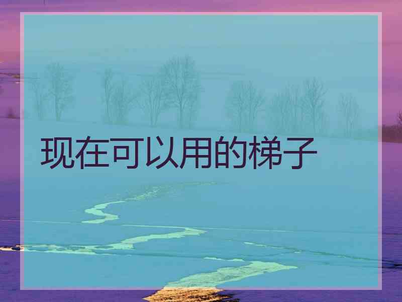 现在可以用的梯子