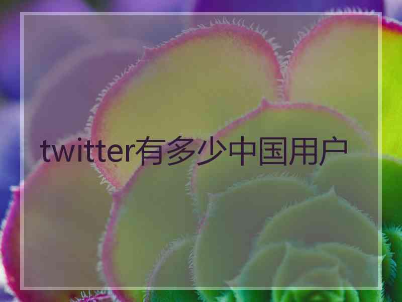 twitter有多少中国用户