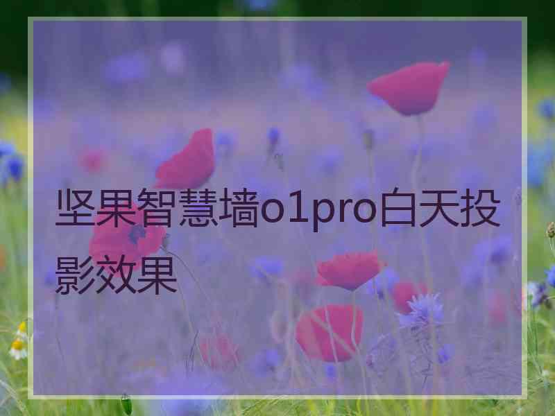 坚果智慧墙o1pro白天投影效果