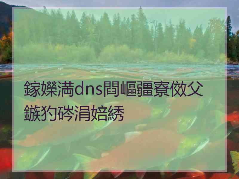 鎵嬫満dns閰嶇疆寮傚父鏃犳硶涓婄綉