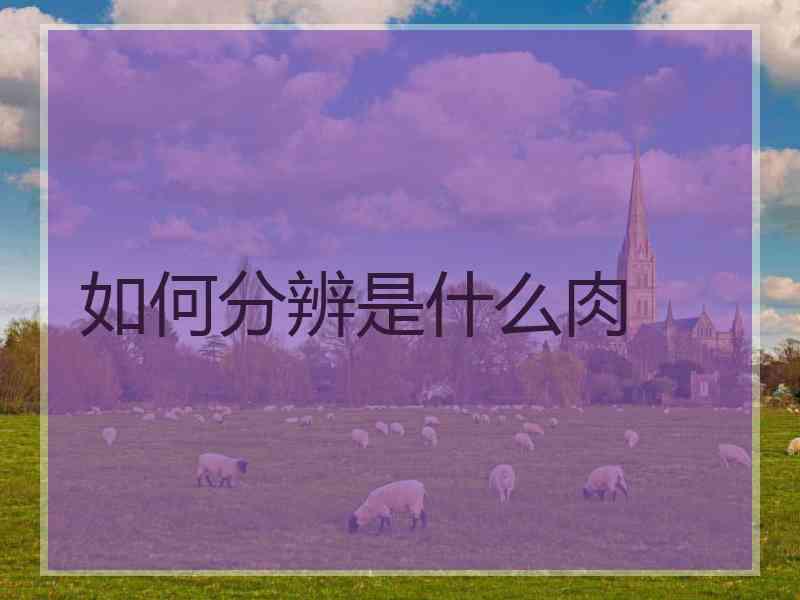 如何分辨是什么肉