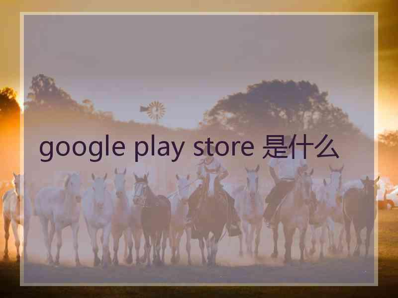 google play store 是什么