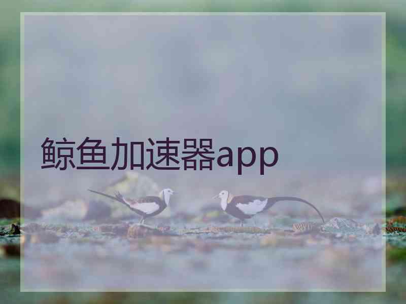 鲸鱼加速器app