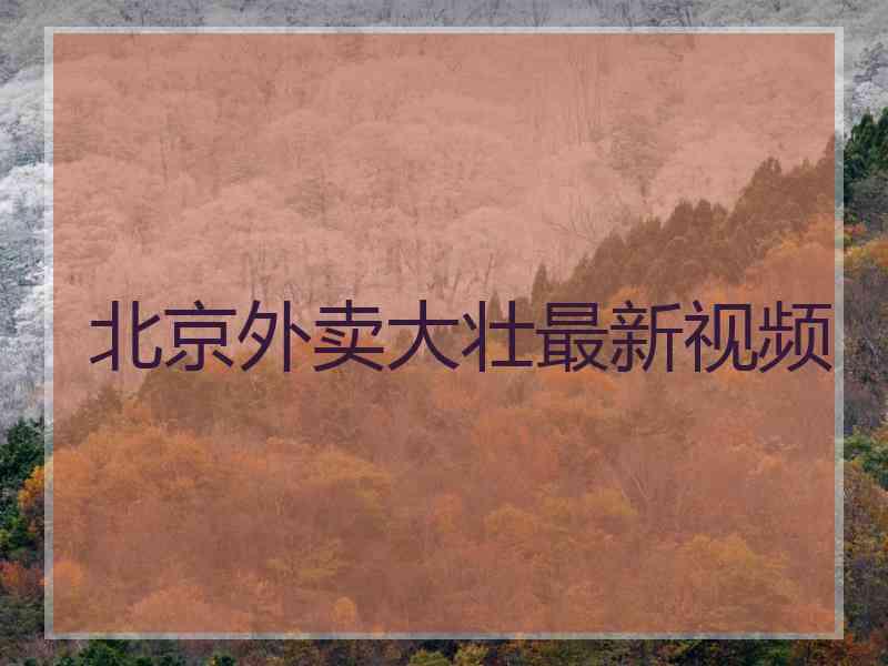 北京外卖大壮最新视频