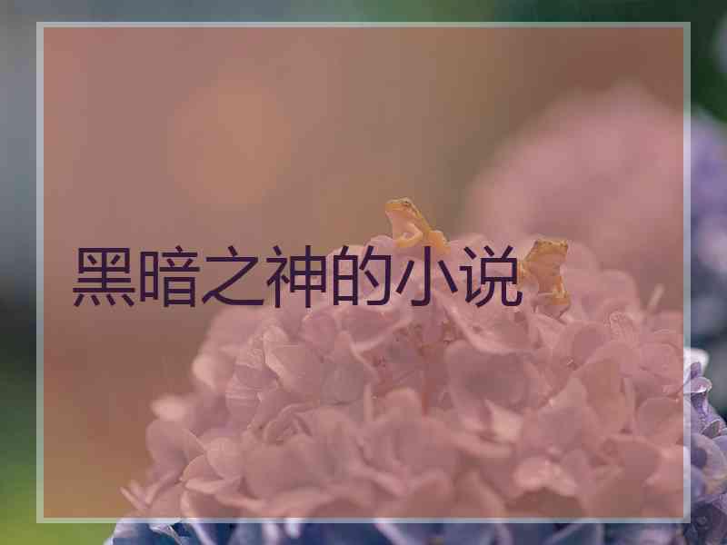 黑暗之神的小说