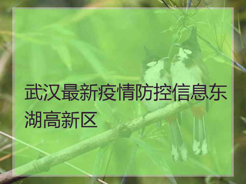 武汉最新疫情防控信息东湖高新区