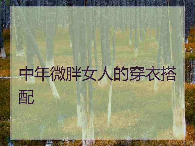 中年微胖女人的穿衣搭配