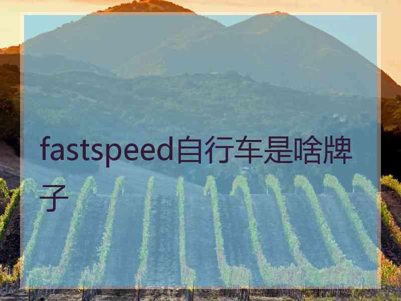 fastspeed自行车是啥牌子