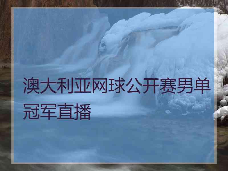 澳大利亚网球公开赛男单冠军直播