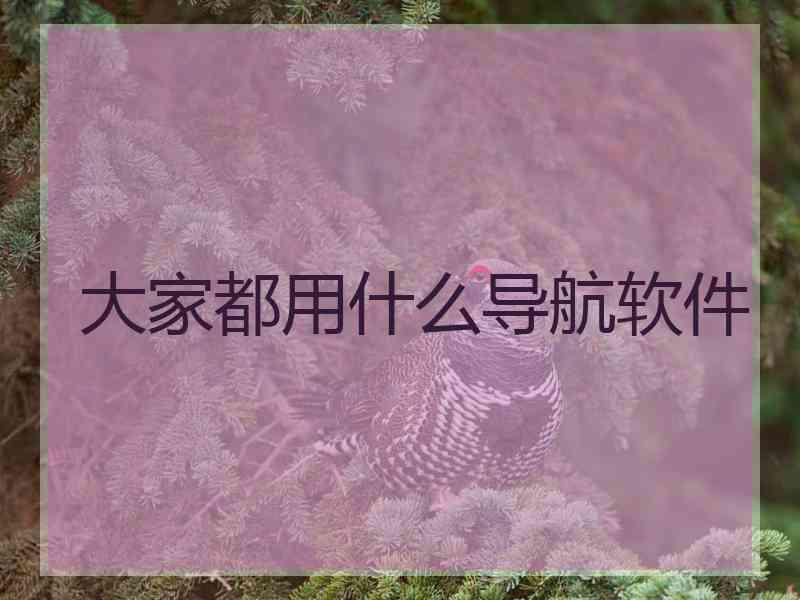 大家都用什么导航软件