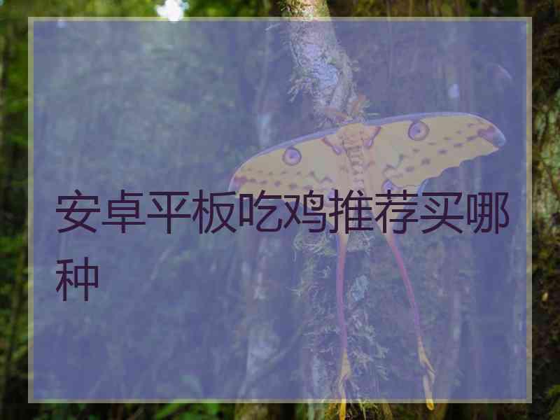 安卓平板吃鸡推荐买哪种