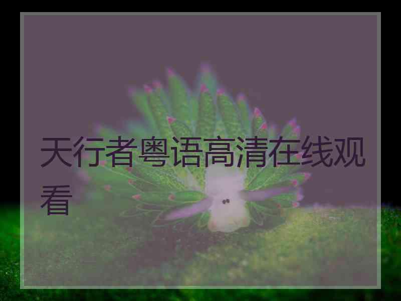 天行者粤语高清在线观看