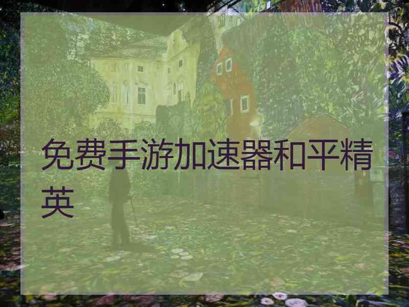 免费手游加速器和平精英