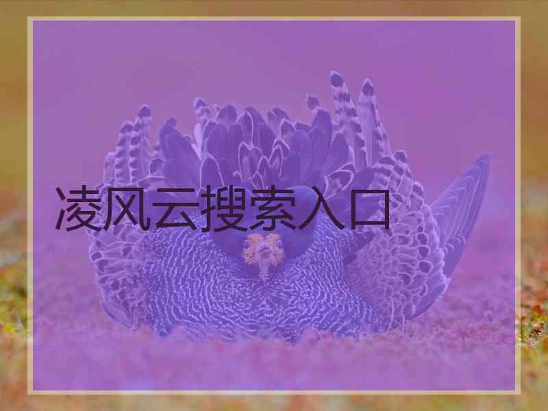 凌风云搜索入口