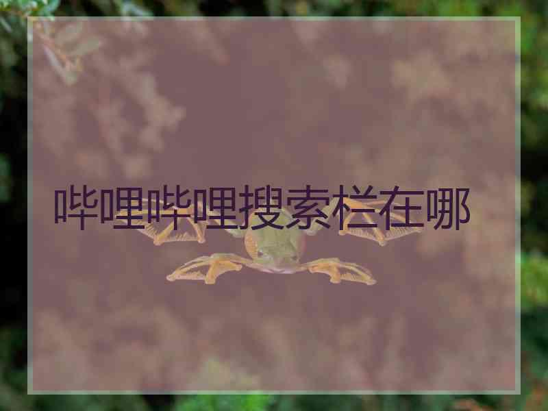 哔哩哔哩搜索栏在哪