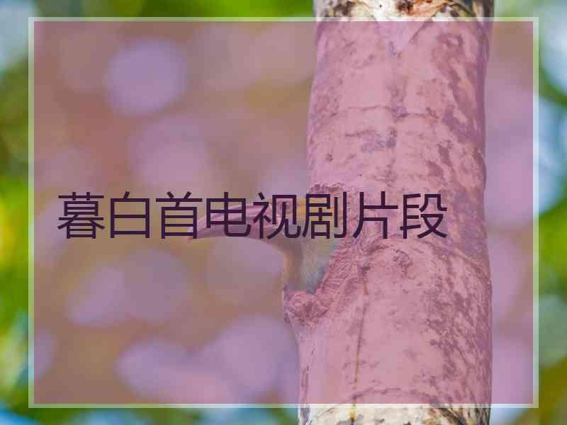 暮白首电视剧片段