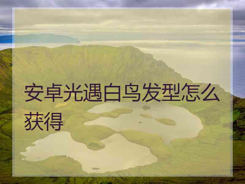 安卓光遇白鸟发型怎么获得