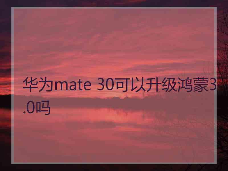 华为mate 30可以升级鸿蒙3.0吗