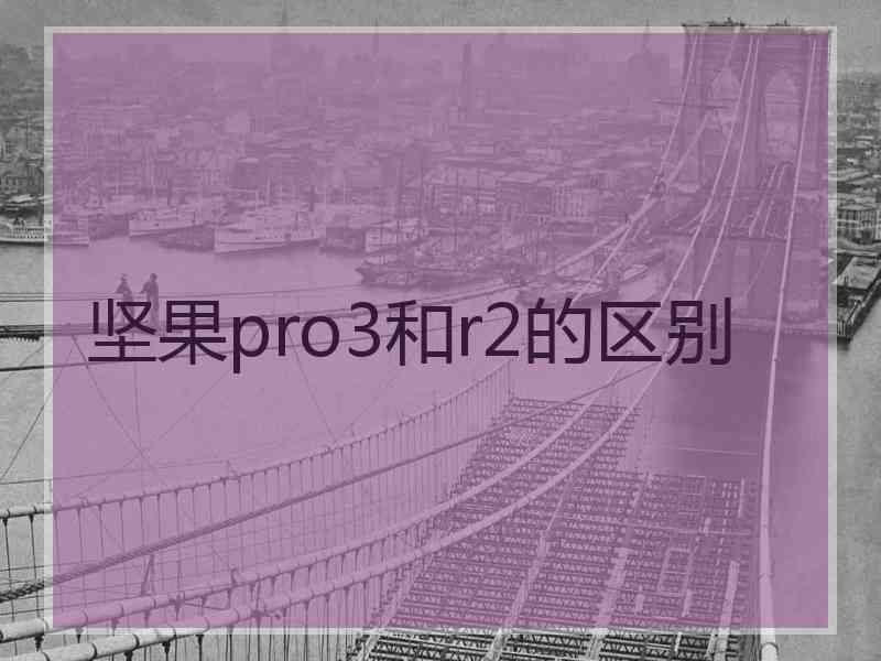 坚果pro3和r2的区别