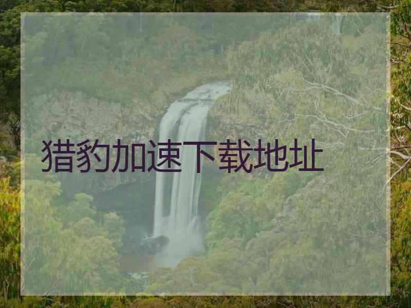 猎豹加速下载地址