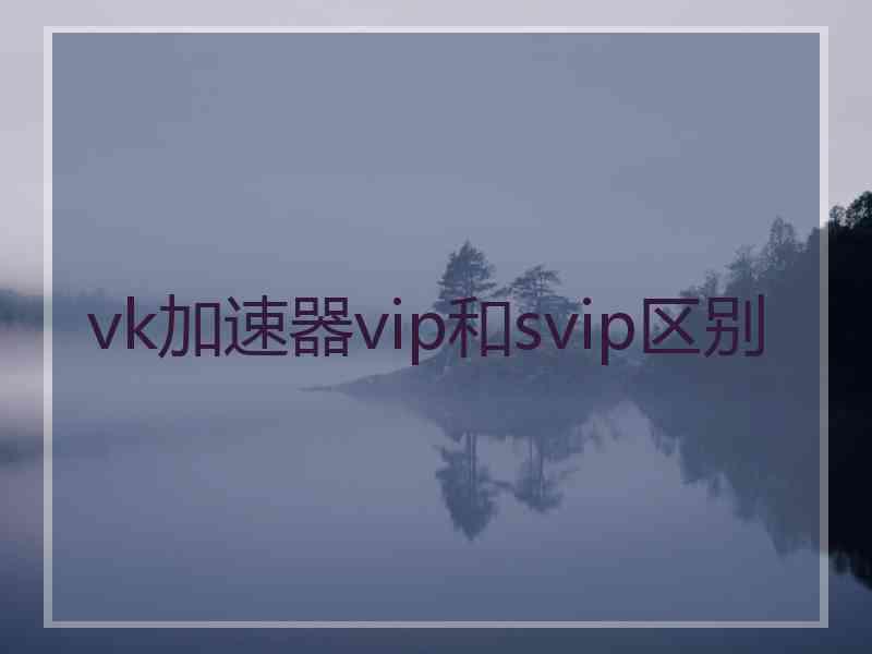 vk加速器vip和svip区别