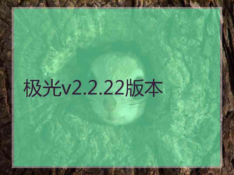极光v2.2.22版本