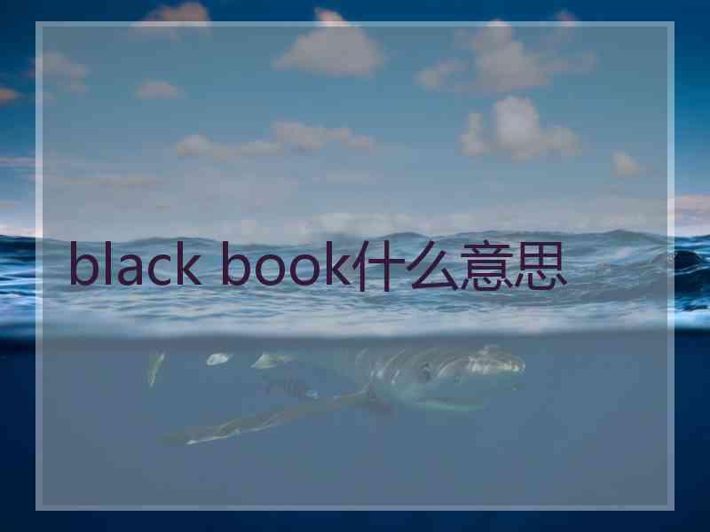 black book什么意思