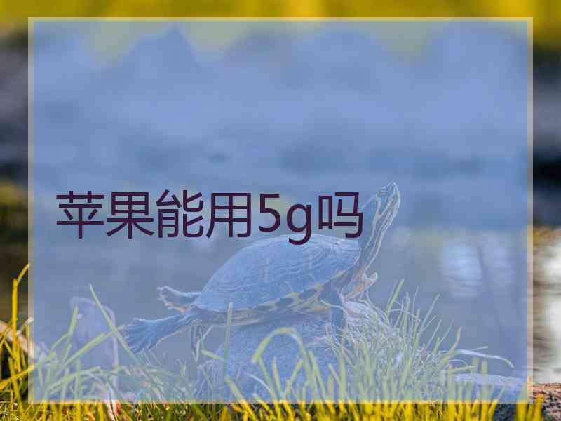 苹果能用5g吗