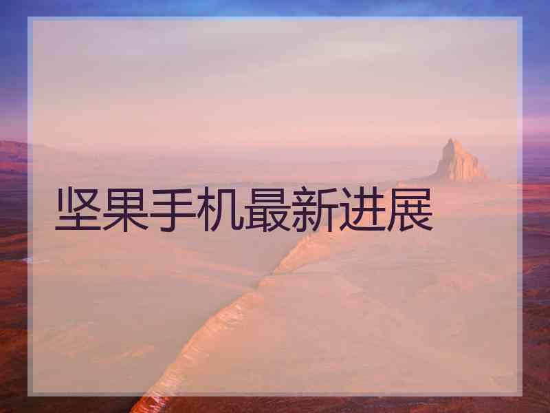 坚果手机最新进展