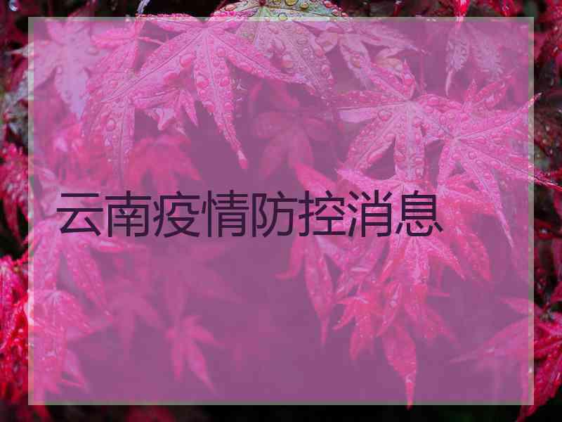 云南疫情防控消息