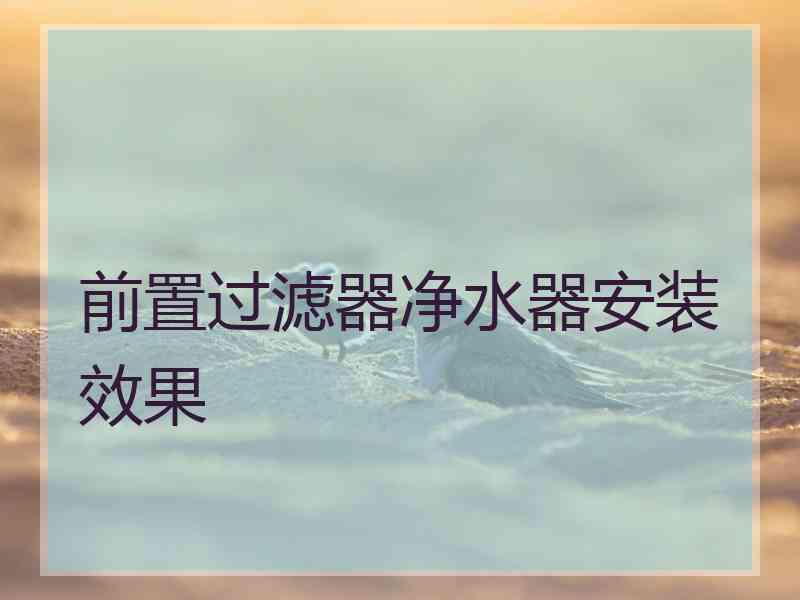 前置过滤器净水器安装效果