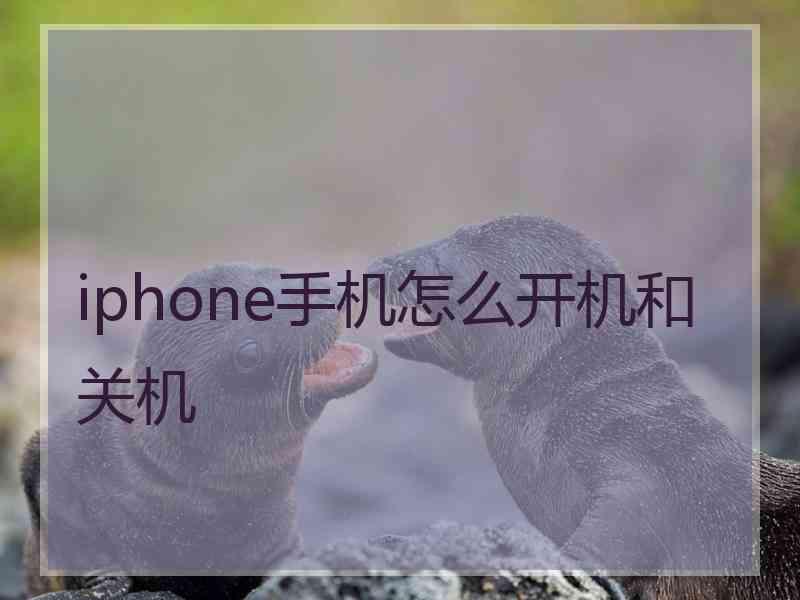 iphone手机怎么开机和关机