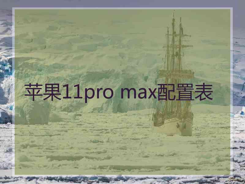 苹果11pro max配置表