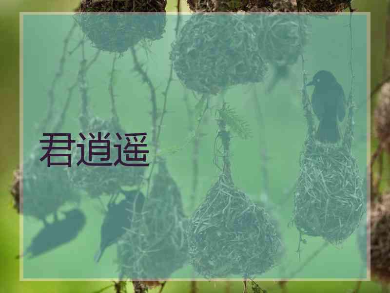 君逍遥