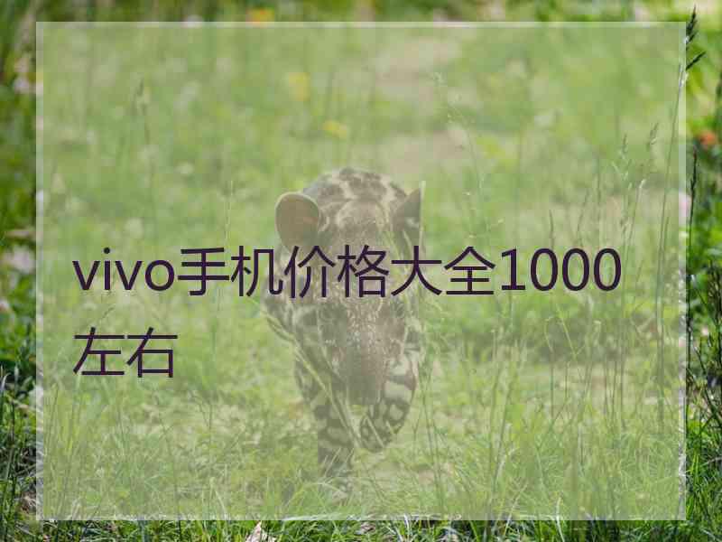vivo手机价格大全1000左右