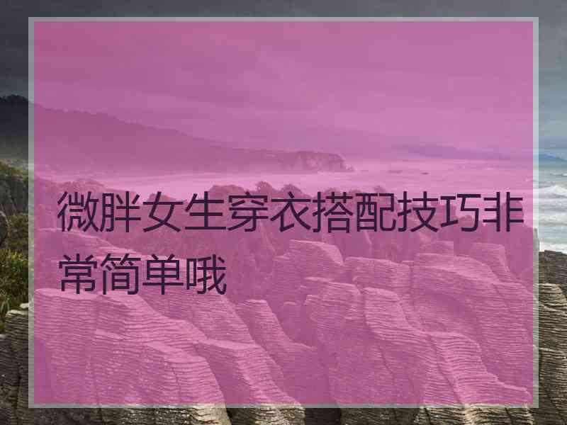 微胖女生穿衣搭配技巧非常简单哦
