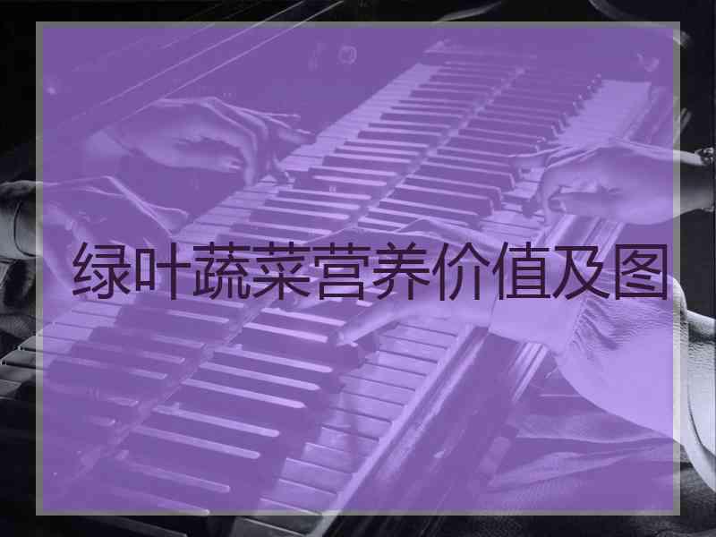 绿叶蔬菜营养价值及图