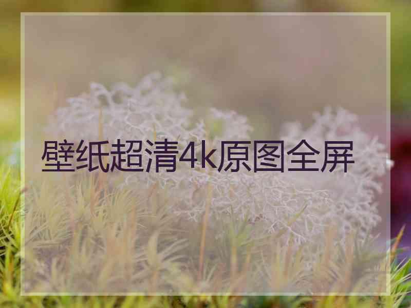 壁纸超清4k原图全屏
