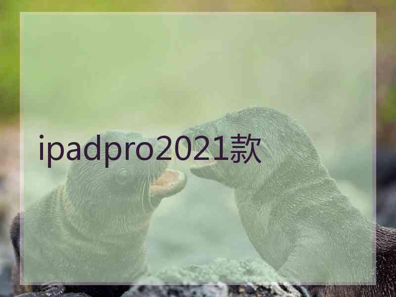 ipadpro2021款