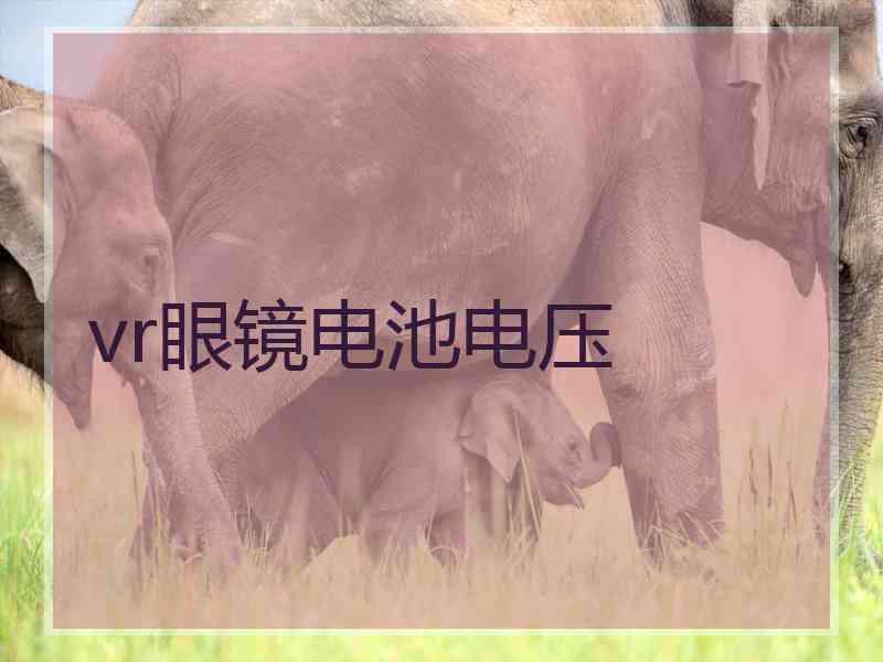 vr眼镜电池电压