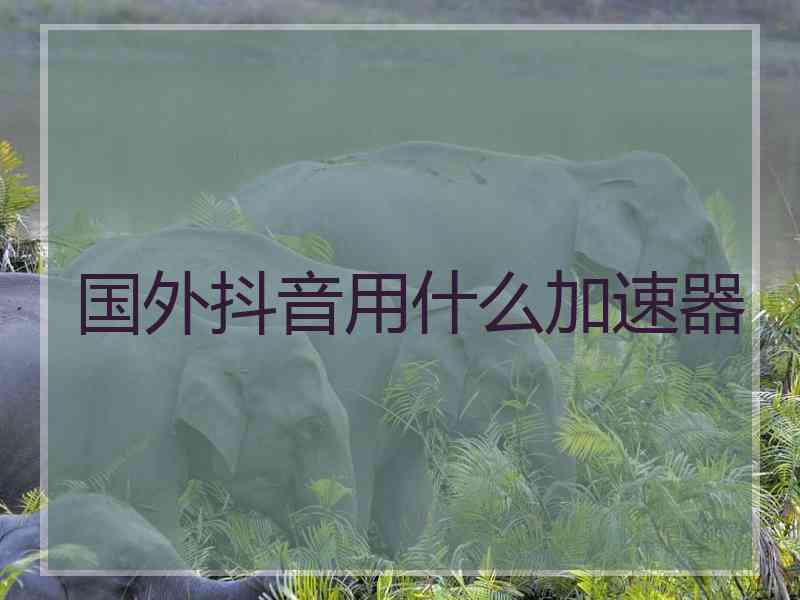 国外抖音用什么加速器