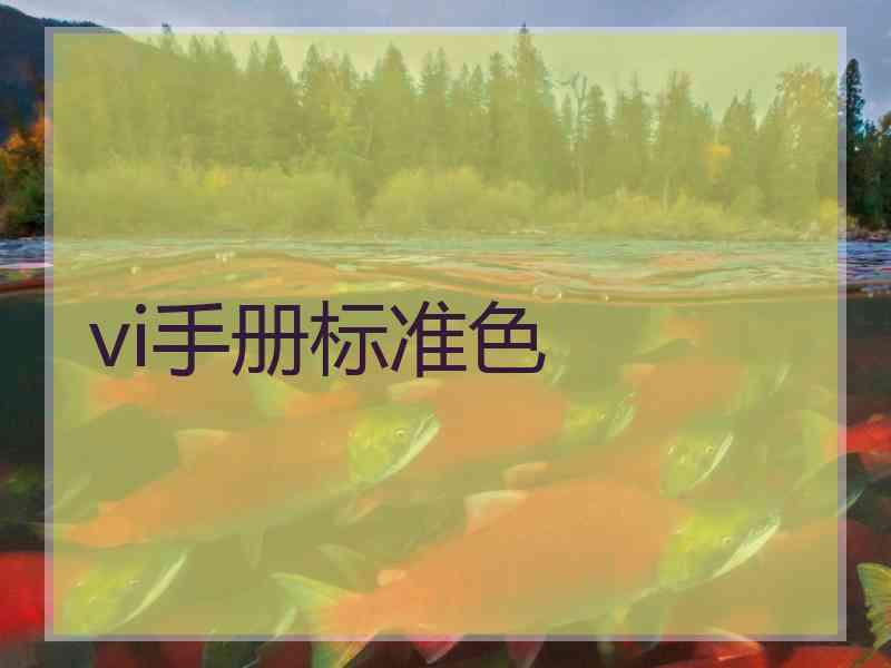 vi手册标准色